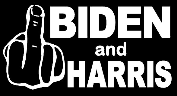 Screw Biden and Harris decal